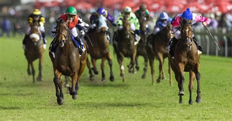 durban july tips|2022 Durban July Tips .